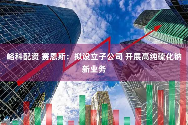 峪科配资 赛恩斯：拟设立子公司 开展高纯硫化钠新业务