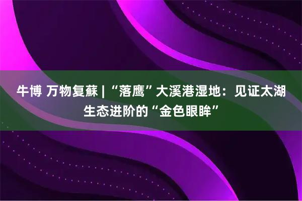 牛博 万物复蘇 | “落鹰”大溪港湿地：见证太湖生态进阶的“金色眼眸”