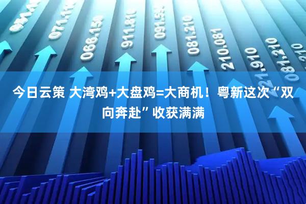 今日云策 大湾鸡+大盘鸡=大商机！粤新这次“双向奔赴”收获满满